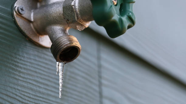 Best Residential Plumbing Services  in Troy, IL